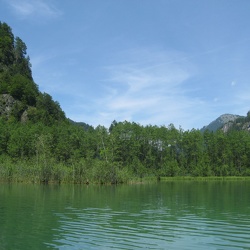 Almsee