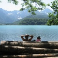 11 Almsee