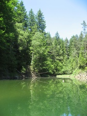 41 Erlaufstausee