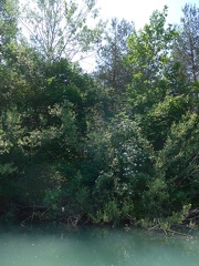 32 Feistritzer Stausee