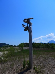 36 Feistritzer Stausee