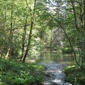 16 Godausee (vorderer)