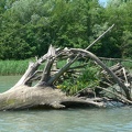 42 Feistritzer Stausee