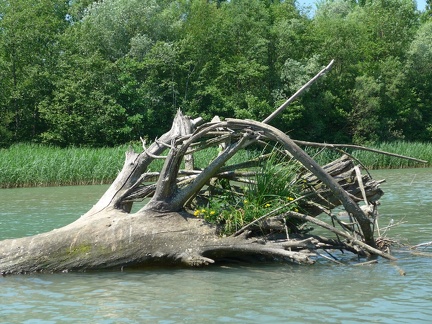 42 Feistritzer Stausee