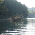 35 Fuschlsee