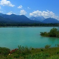 46 Feistritzer Stausee