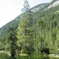 19 Godausee (vorderer)