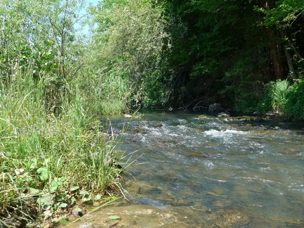 53 Feistritzer Stausee