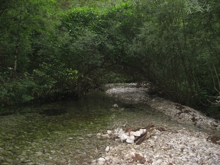 06 Langbathsee (vorderer)