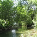 14 Lunzer See