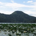 16 Lunzer See