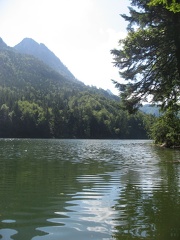14 Nussensee
