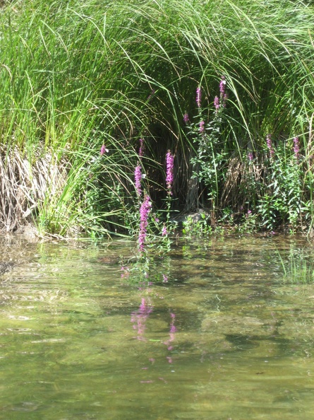 16_Nussensee.JPG