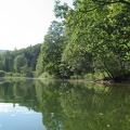19 Nussensee