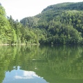 21 Nussensee