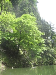 26 Salzastausee