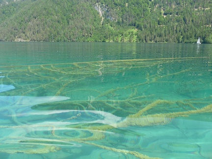 13 Weißensee