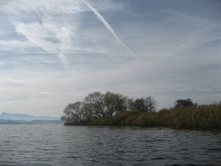 59 Wallersee