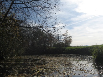 60 Wallersee
