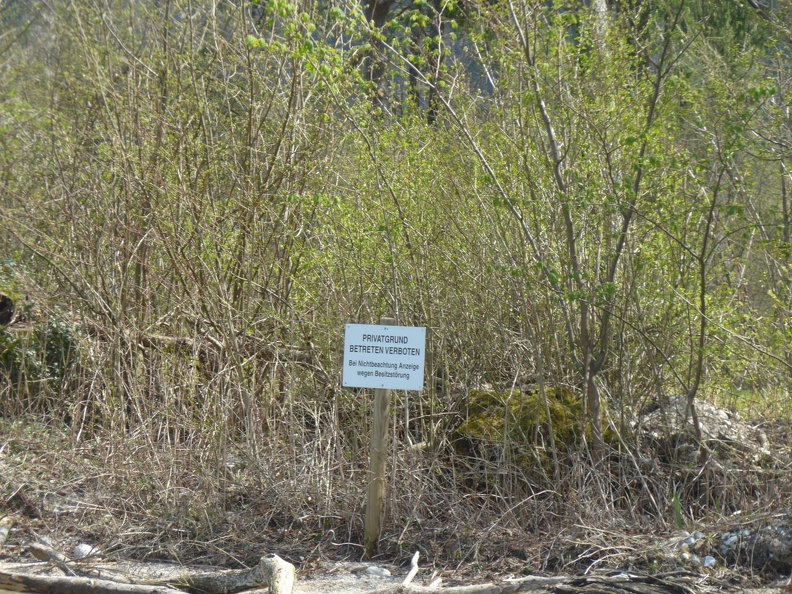 22_Attersee_Süd.JPG