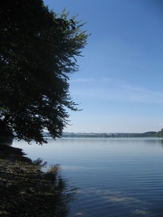 23 Mattsee