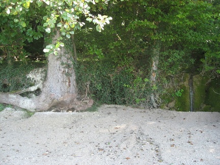 29 Mattsee