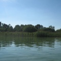 45 Mattsee