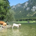 01 Hallstättersee